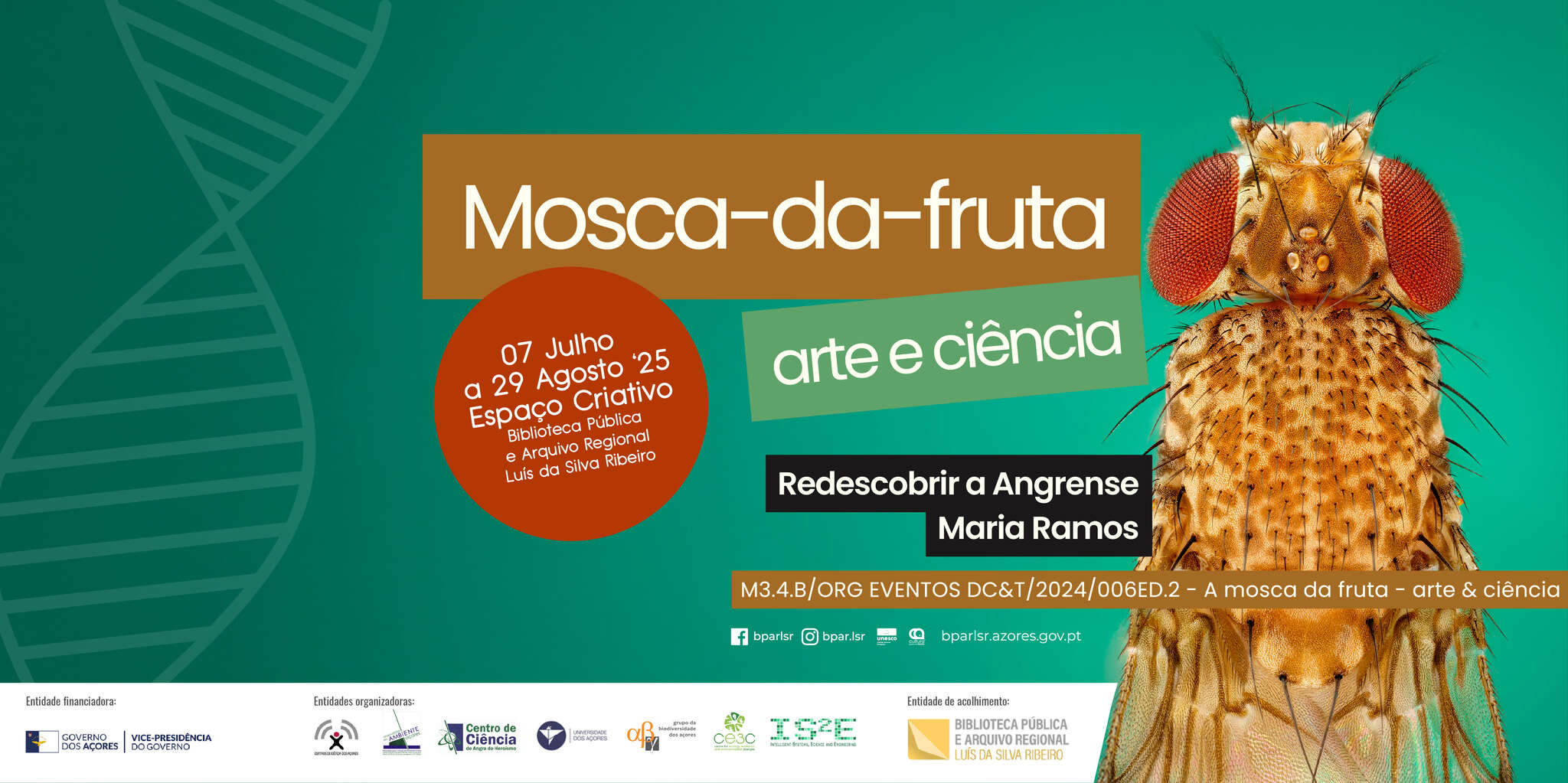 Exposição de fotografia | Mosca-da-fruta: arte & ciência
