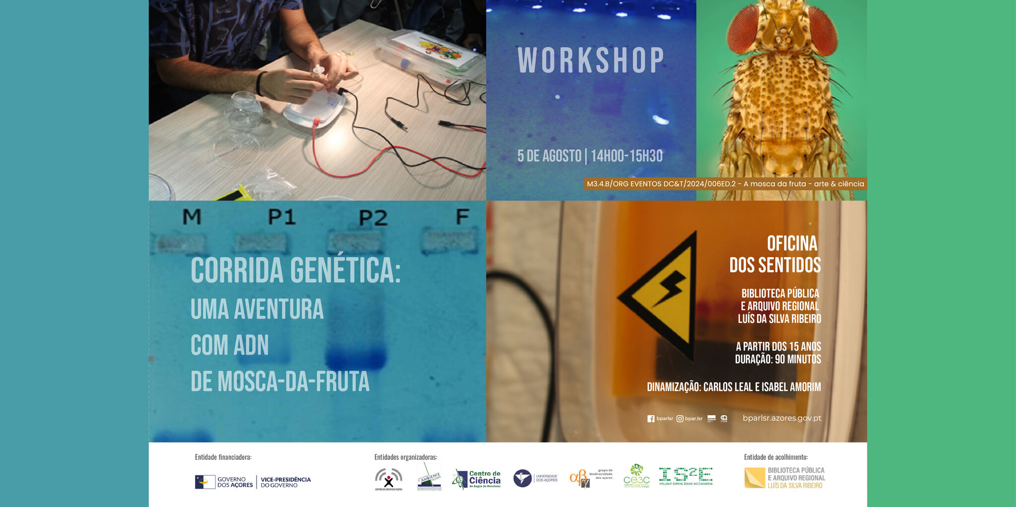 Workshop | Corrida Genética – uma aventura com ADN de mosca-da-fruta